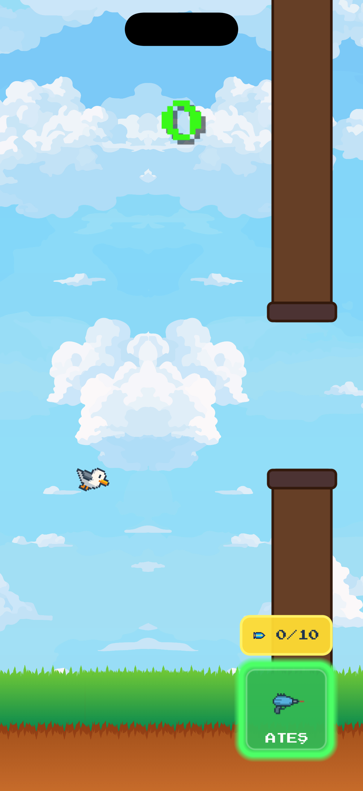 Martı Simulator oyun ekranı - Uçuş mekaniği ve simit toplama